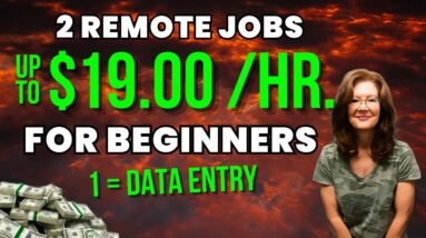 BEGINNER FRIENDLY ENTRY LEVEL REMOTE JOBS 2023: 1=Data Entry, 1=a.m. and Weekends | USA