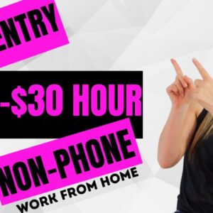 $25 To $30 Hour DATA ENTRY Non-Phone Work From Home Job 2023 With No Degree Required | USA Only